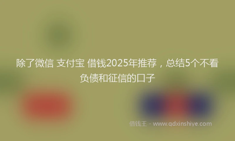 除了微信 支付宝 借钱2025年推荐，总结5个不看负债和征信的口子