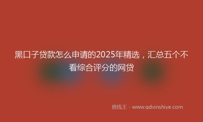 黑口子贷款怎么申请的2025年精选，汇总五个不看综合评分的网贷