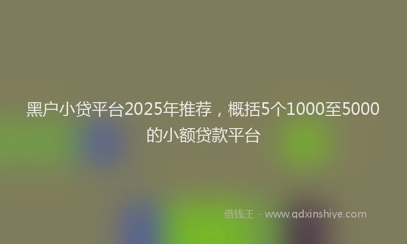 黑户小贷平台2025年推荐，概括5个1000至5000的小额贷款平台