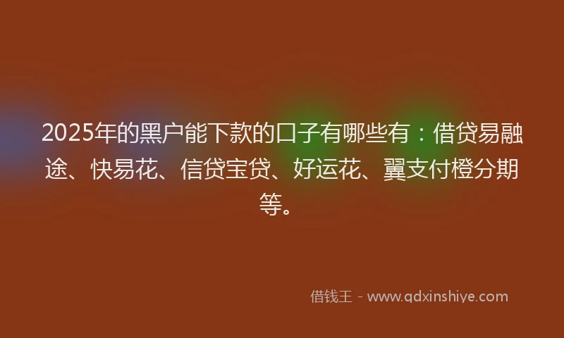 2025年的黑户能下款的口子有哪些有：借贷易融途、快易花、信贷宝贷、好运花、翼支付橙分期等。