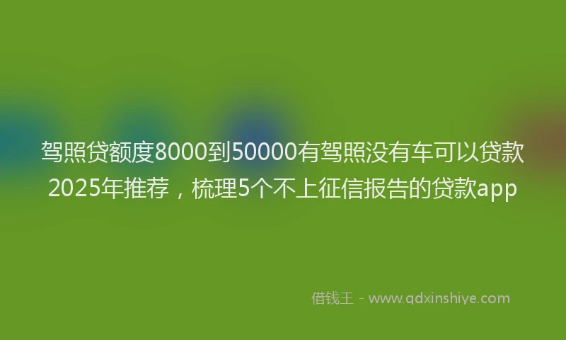 驾照贷额度8000到50000有驾照没有车可以贷款2025年推荐，梳理5个不上征信报告的贷款app