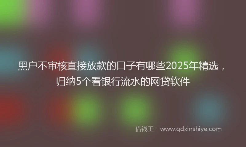 黑户不审核直接放款的口子有哪些2025年精选，归纳5个看银行流水的网贷软件