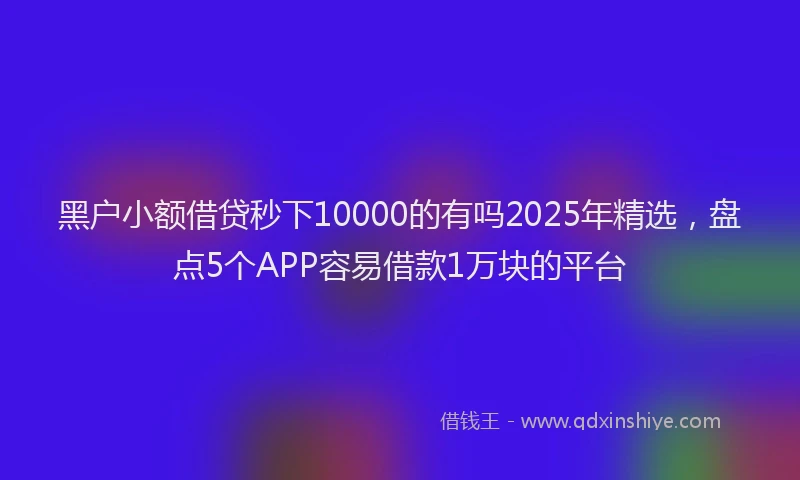 黑户小额借贷秒下10000的有吗2025年精选，盘点5个APP容易借款1万块的平台