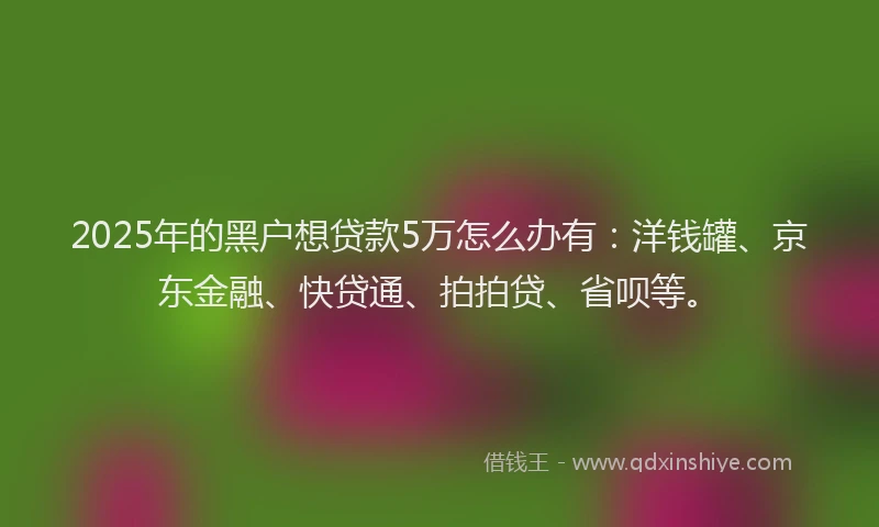 2025年的黑户想贷款5万怎么办有：洋钱罐、京东金融、快贷通、拍拍贷、省呗等。