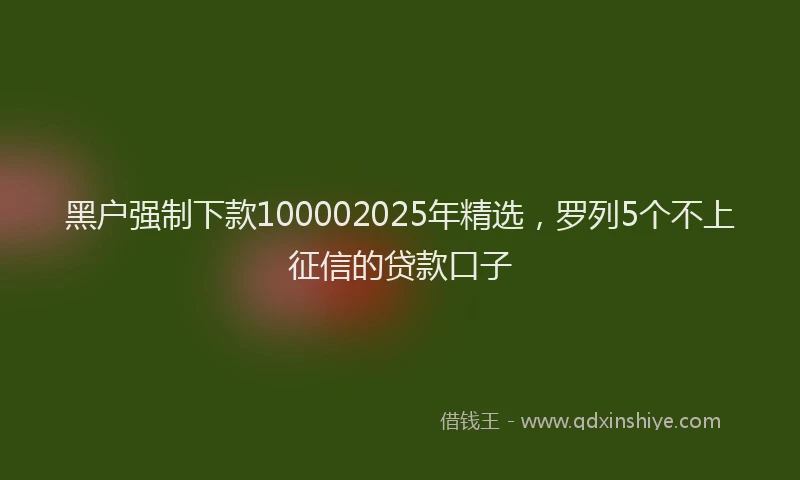 黑户强制下款100002025年精选，罗列5个不上征信的贷款口子
