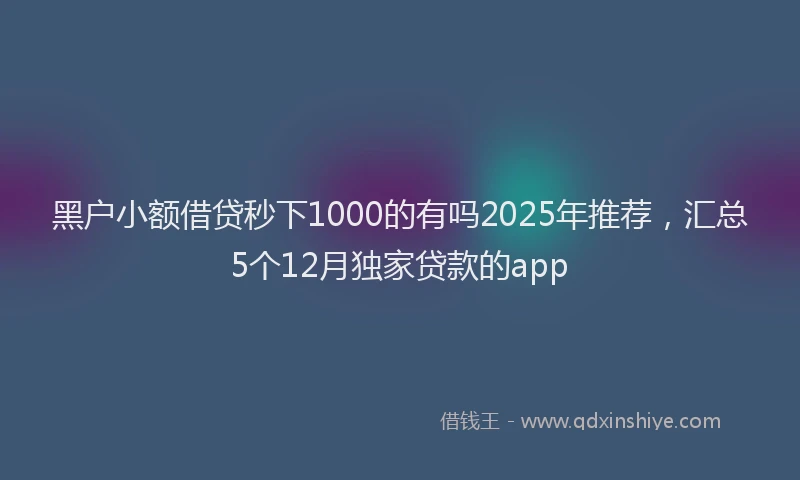 黑户小额借贷秒下1000的有吗2025年推荐，汇总5个12月独家贷款的app
