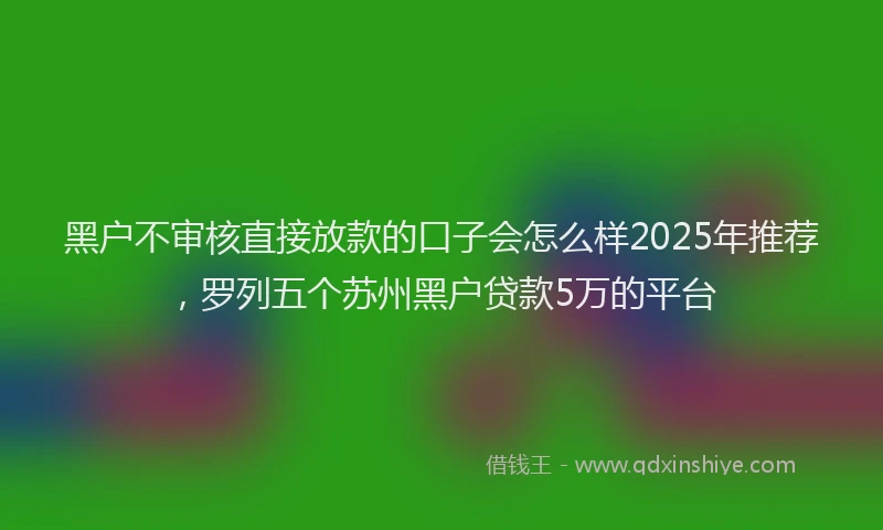 黑户不审核直接放款的口子会怎么样2025年推荐，罗列五个苏州黑户贷款5万的平台