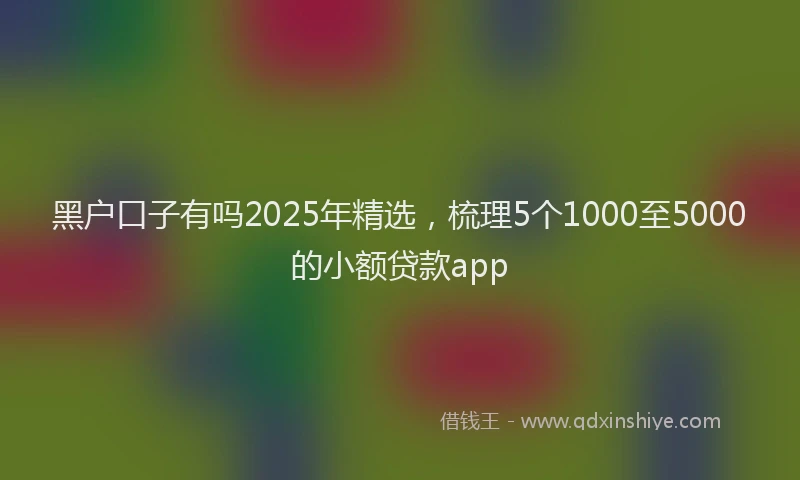 黑户口子有吗2025年精选，梳理5个1000至5000的小额贷款app