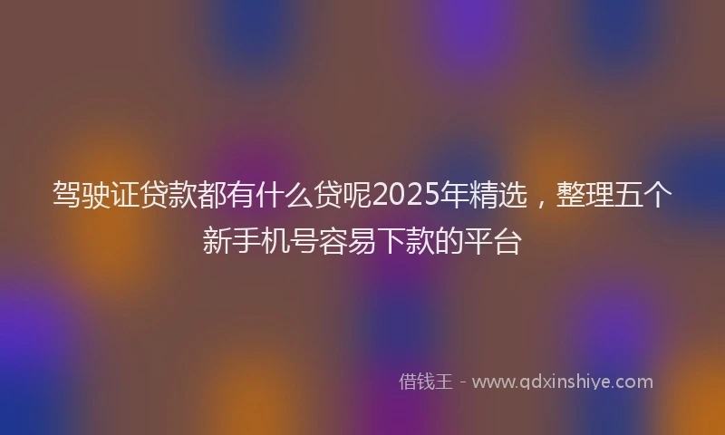 驾驶证贷款都有什么贷呢2025年精选，整理五个新手机号容易下款的平台