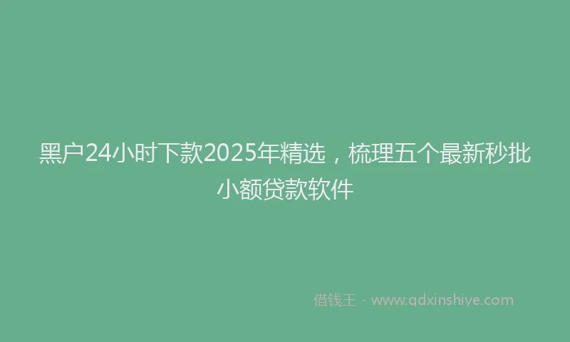 黑户24小时下款2025年精选，梳理五个最新秒批小额贷款软件