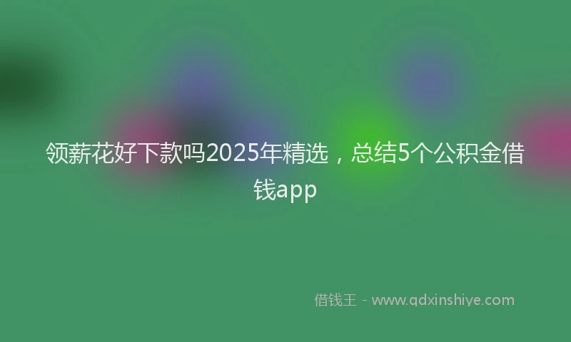 领薪花好下款吗2025年精选，总结5个公积金借钱app