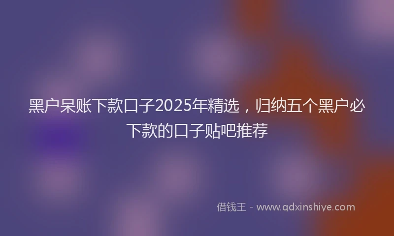 黑户呆账下款口子2025年精选，归纳五个黑户必下款的口子贴吧推荐