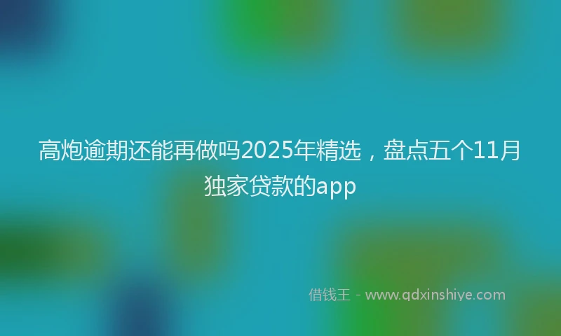 高炮逾期还能再做吗2025年精选，盘点五个11月独家贷款的app
