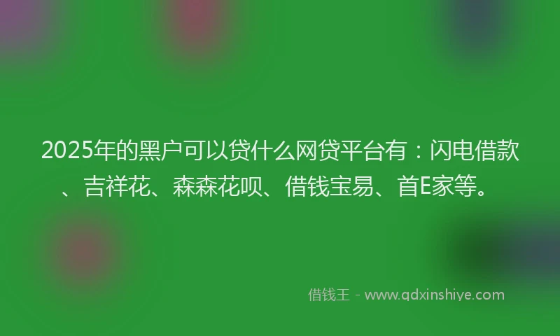 2025年的黑户可以贷什么网贷平台有：闪电借款、吉祥花、森森花呗、借钱宝易、首E家等。