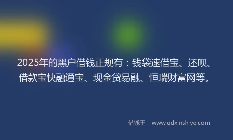 2025年的黑户借钱正规有：钱袋速借宝、还呗、借款宝快融通宝、现金贷易融、恒瑞财富网等。