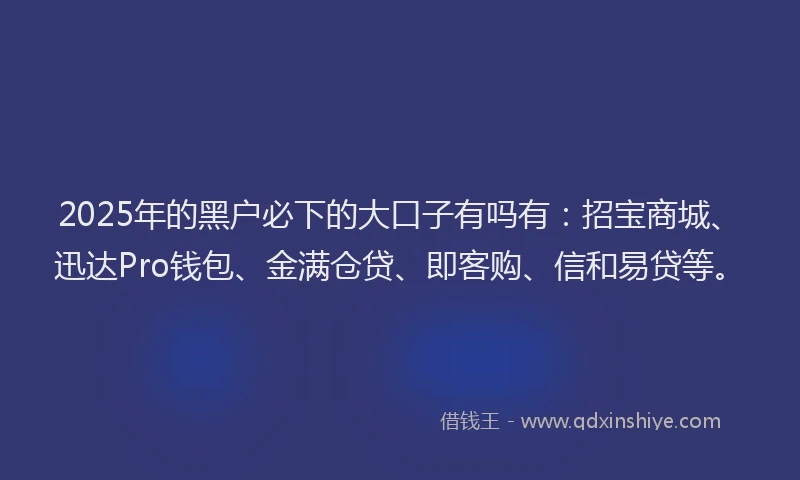 2025年的黑户必下的大口子有吗有：招宝商城、迅达Pro钱包、金满仓贷、即客购、信和易贷等。