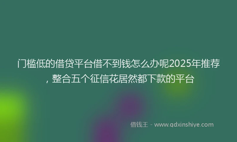 门槛低的借贷平台借不到钱怎么办呢2025年推荐，整合五个征信花居然都下款的平台