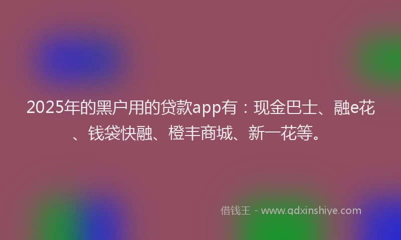 2025年的黑户用的贷款app有：现金巴士、融e花、钱袋快融、橙丰商城、新一花等。