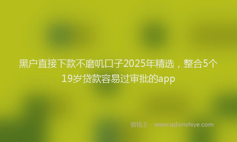 黑户直接下款不磨叽口子2025年精选，整合5个19岁贷款容易过审批的app