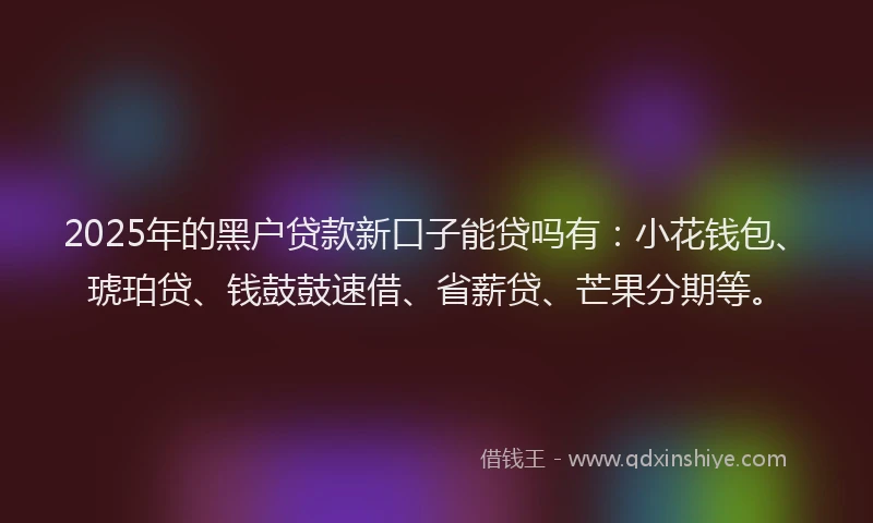 2025年的黑户贷款新口子能贷吗有:小花钱包、琥珀贷、钱鼓鼓速借、省薪贷、芒果分期等。