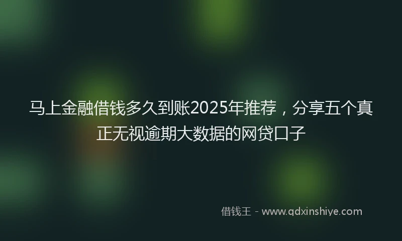 马上金融借钱多久到账2025年推荐，分享五个真正无视逾期大数据的网贷口子