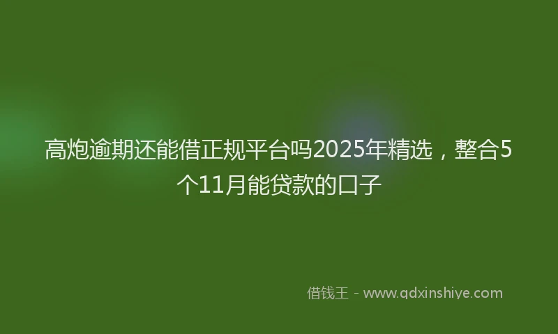 高炮逾期还能借正规平台吗2025年精选，整合5个11月能贷款的口子