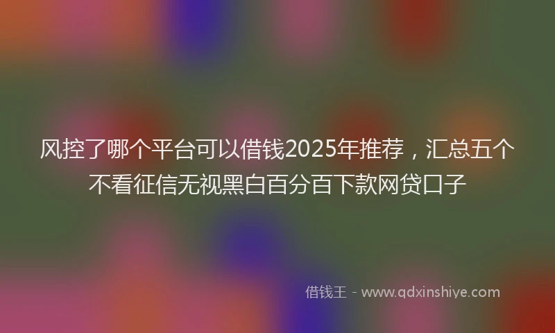 风控了哪个平台可以借钱2025年推荐，汇总五个不看征信无视黑白百分百下款网贷口子