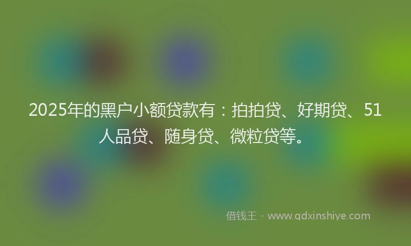 2025年的黑户小额贷款有：拍拍贷、好期贷、51人品贷、随身贷、微粒贷等。
