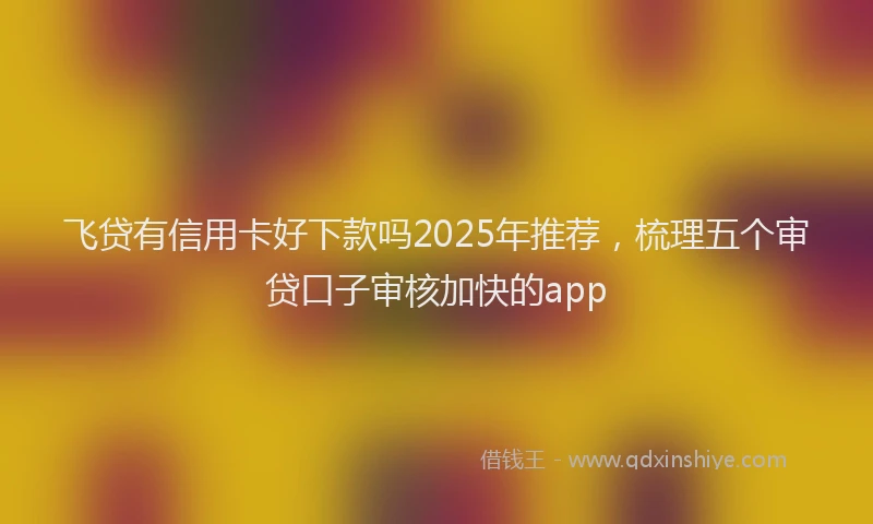 飞贷有信用卡好下款吗2025年推荐，梳理五个审贷口子审核加快的app