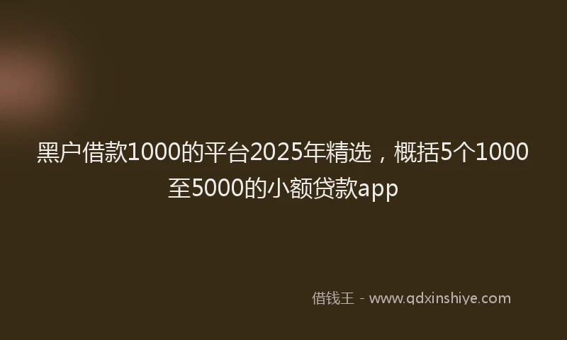 黑户借款1000的平台2025年精选，概括5个1000至5000的小额贷款app