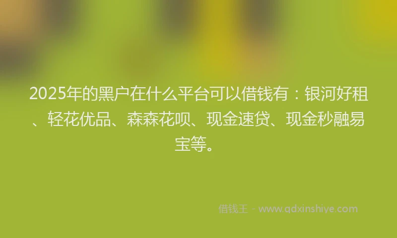 2025年的黑户在什么平台可以借钱有：银河好租、轻花优品、森森花呗、现金速贷、现金秒融易宝等。