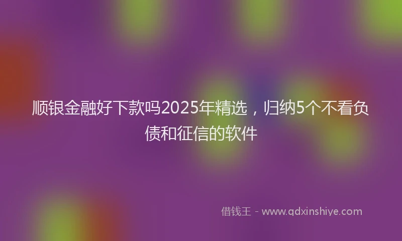 顺银金融好下款吗2025年精选，归纳5个不看负债和征信的软件