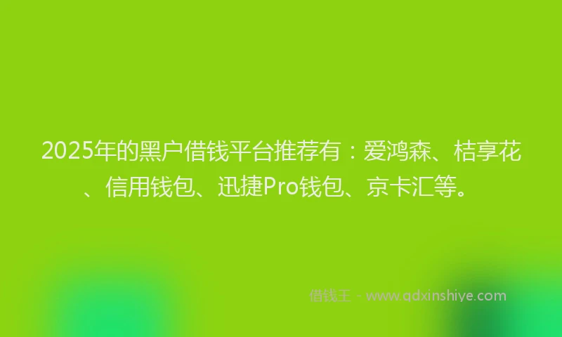 2025年的黑户借钱平台推荐有:爱鸿森、桔享花、信用钱包、迅捷Pro钱包、京卡汇等。