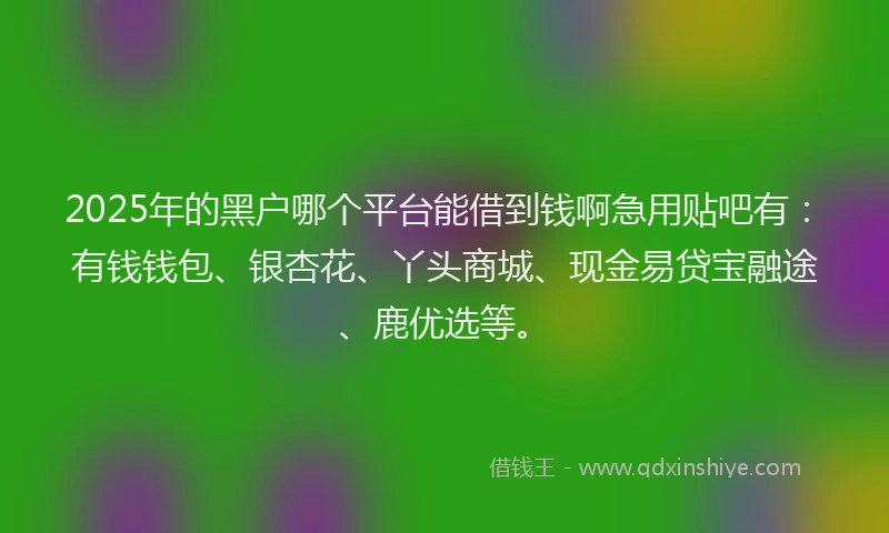 2025年的黑户哪个平台能借到钱啊急用贴吧有：有钱钱包、银杏花、丫头商城、现金易贷宝融途、鹿优选等。