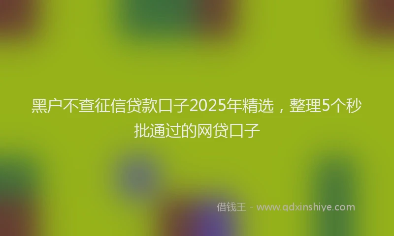 黑户不查征信贷款口子2025年精选，整理5个秒批通过的网贷口子