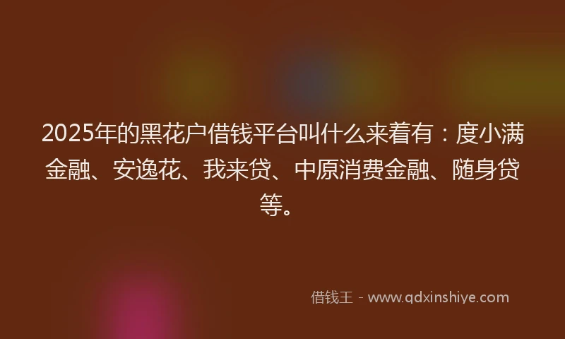2025年的黑花户借钱平台叫什么来着有:度小满金融、安逸花、我来贷、中原消费金融、随身贷等。