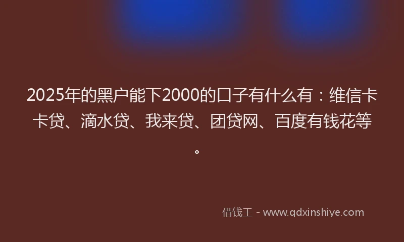 2025年的黑户能下2000的口子有什么有：维信卡卡贷、滴水贷、我来贷、团贷网、百度有钱花等。