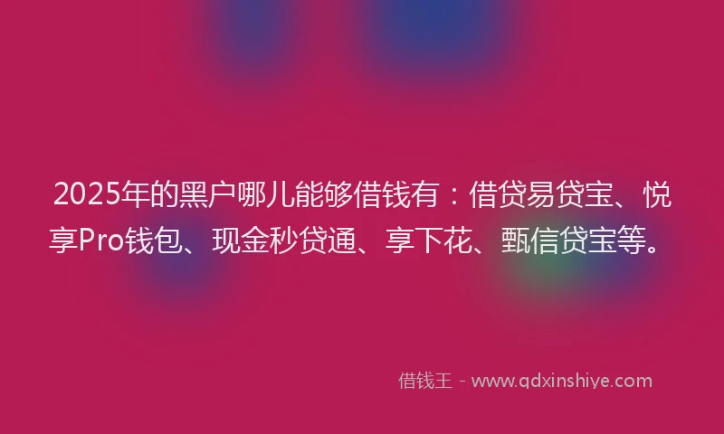 2025年的黑户哪儿能够借钱有：借贷易贷宝、悦享Pro钱包、现金秒贷通、享下花、甄信贷宝等。