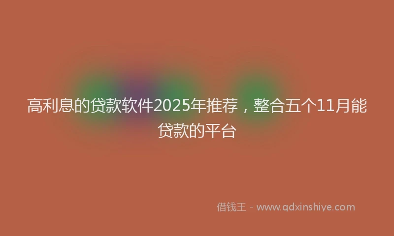高利息的贷款软件2025年推荐，整合五个11月能贷款的平台