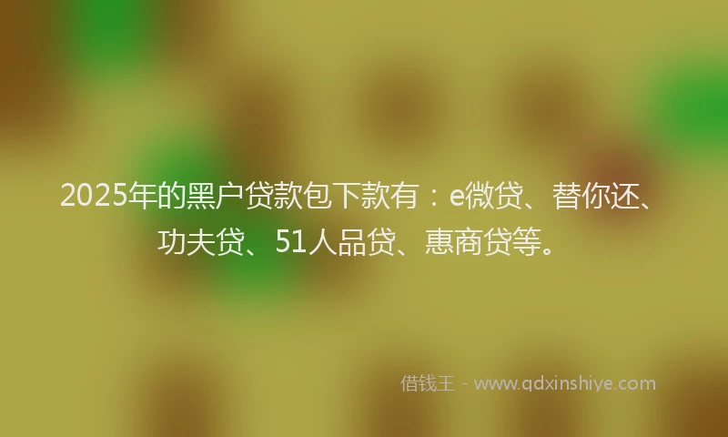 2025年的黑户贷款包下款有：e微贷、替你还、功夫贷、51人品贷、惠商贷等。