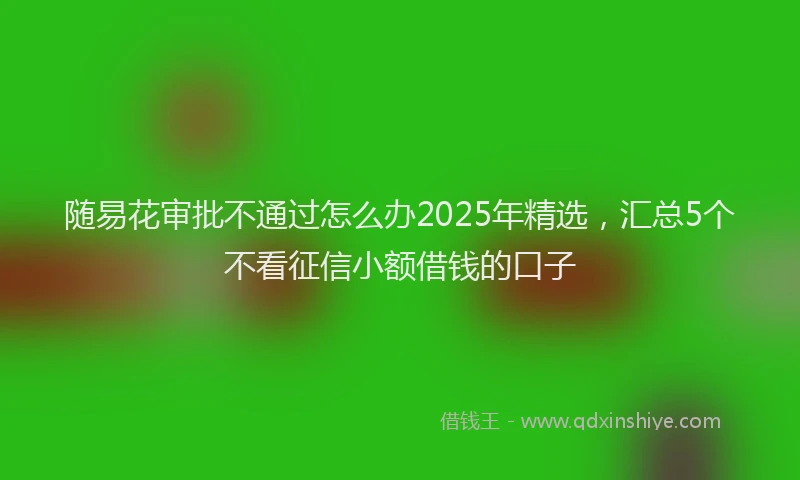 随易花审批不通过怎么办2025年精选，汇总5个不看征信小额借钱的口子