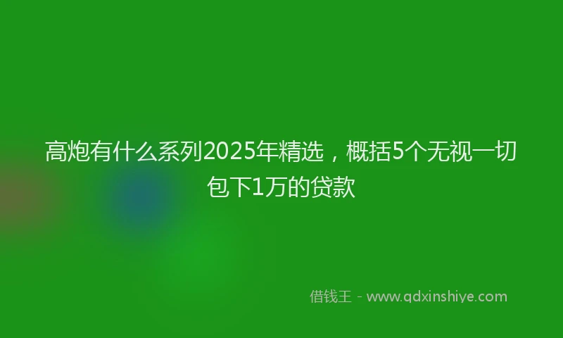 高炮有什么系列2025年精选，概括5个无视一切包下1万的贷款