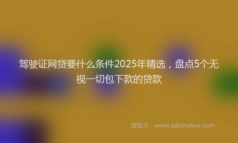 驾驶证网贷要什么条件2025年精选，盘点5个无视一切包下款的贷款