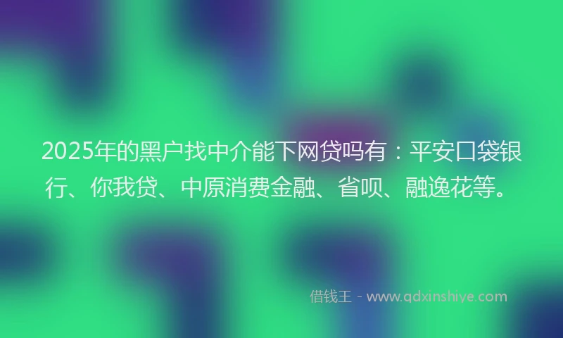 2025年的黑户找中介能下网贷吗有：平安口袋银行、你我贷、中原消费金融、省呗、融逸花等。