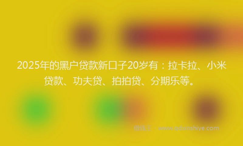 2025年的黑户贷款新口子20岁有：拉卡拉、小米贷款、功夫贷、拍拍贷、分期乐等。