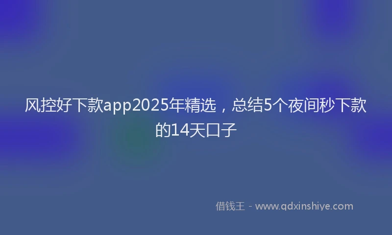 风控好下款app2025年精选，总结5个夜间秒下款的14天口子