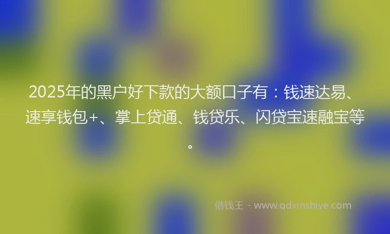 2025年的黑户好下款的大额口子有：钱速达易、速享钱包+、掌上贷通、钱贷乐、闪贷宝速融宝等。