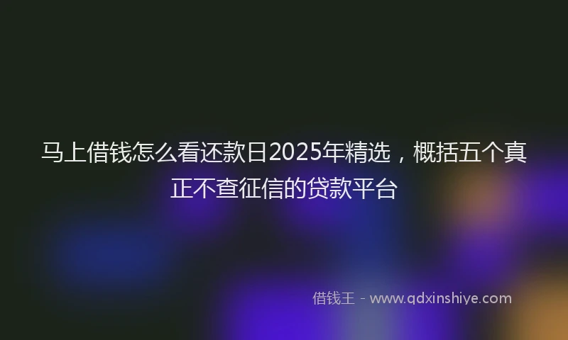 马上借钱怎么看还款日2025年精选，概括五个真正不查征信的贷款平台