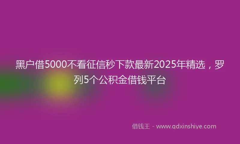 黑户借5000不看征信秒下款最新2025年精选，罗列5个公积金借钱平台