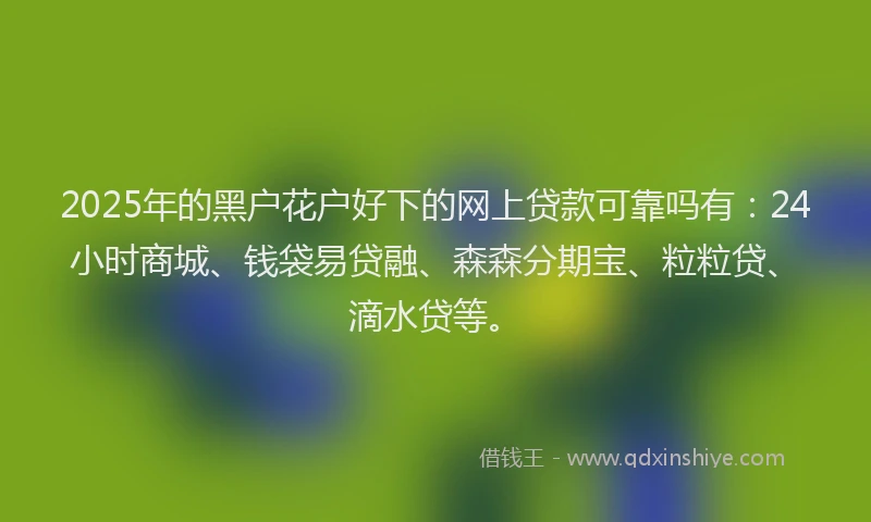 2025年的黑户花户好下的网上贷款可靠吗有：24小时商城、钱袋易贷融、森森分期宝、粒粒贷、滴水贷等。